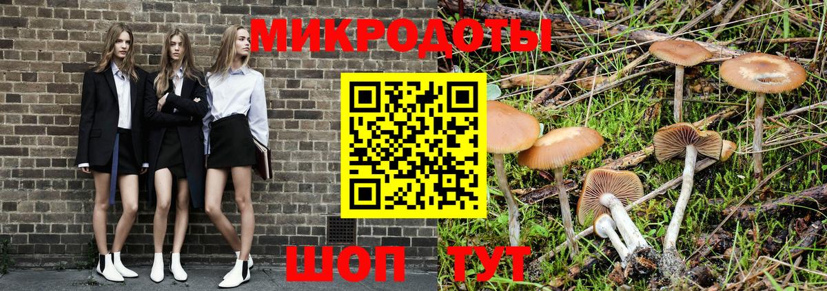Псилоцибиновые грибы ЛСД Сердобск